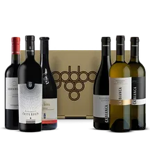 Vino Pride of Piedmont Case