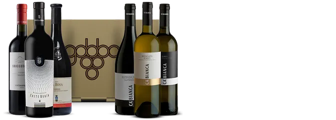 undefined Vino Pride of Piedmont Case