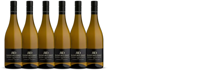 undefined Radford Dale Organic Chenin Blanc Case