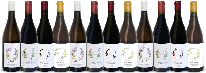 undefined Nativo Wines Nativo Spring Selection